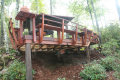 hdswnc5009011.jpg
